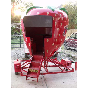 Spinning Berry incl 1 staff