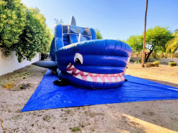 18ft Shark Tank Water Slide